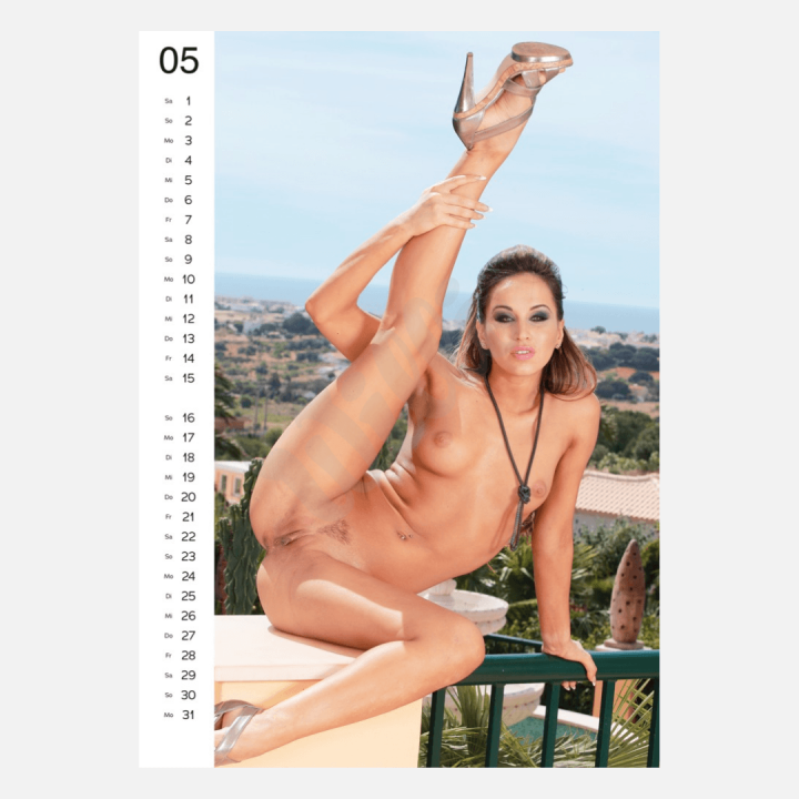 Kalendář Pin-up Calendar Hot Girls 2027