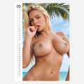 Kalendář Pin-up Calendar Big Boobs 2027